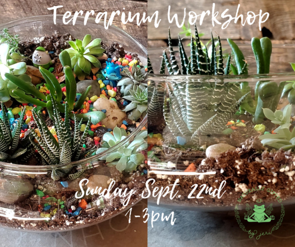 Terrarium Workshop